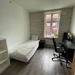 Neksor Hostels